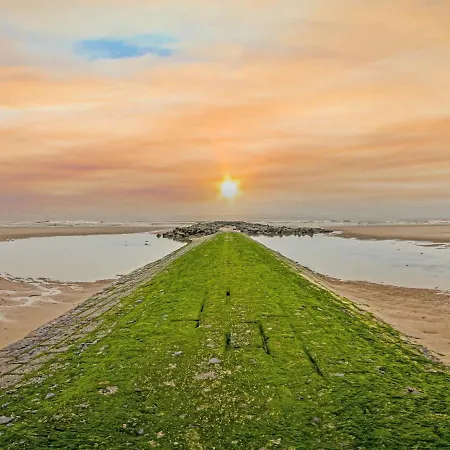 Lejlighed Garden Blok 10 2 Bedrooms On Floor 0 Middelkerke
